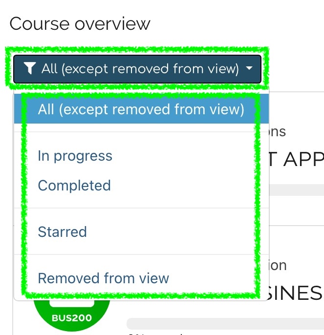 hc-dashboard-view.jpeg